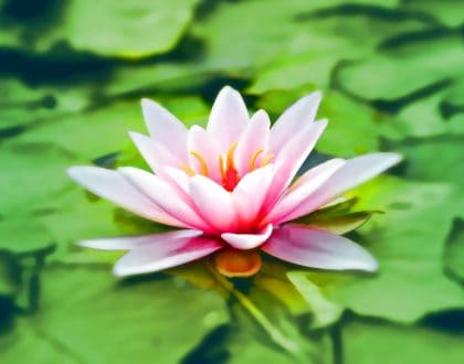 Heet-heter-heetst-weekbrief-olvternood